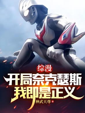 综漫：开局奈克瑟斯，我即是正义综漫：开局奈克瑟斯，我即是正义